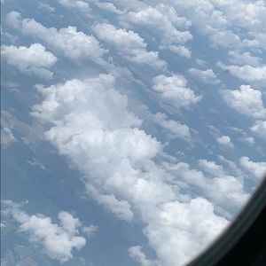 Meet your Posher, Millie